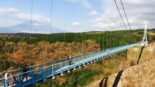 怖くて渡れませんでした。。。