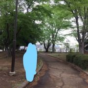 良い公園です。