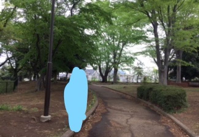 良い公園です。