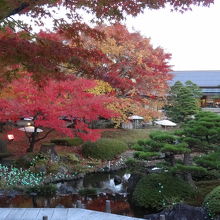 すばらしい紅葉の日本庭園
