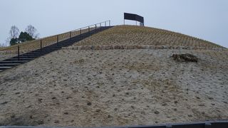 まあるい形が美しくて