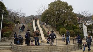 野外の遊具が充実