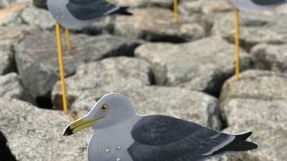 島内をのんびりお散歩