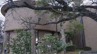 古彩庵、大小庵という茶室があって