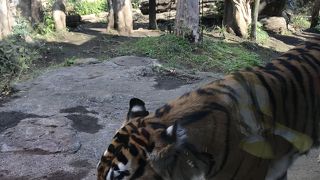 ベビーカーも持って行ってきた