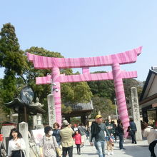 九州最古の鳥居説 たまたまピンク色に By Kazekozo 太宰府天満宮のクチコミ フォートラベル