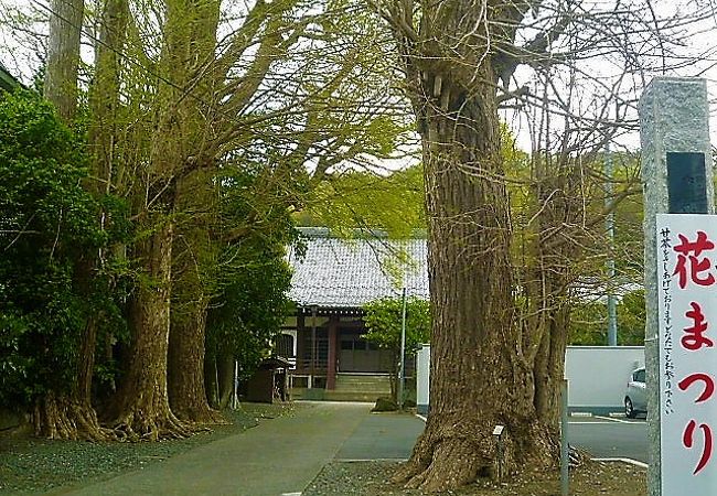 `花まつり`(4月8日)の案内が！