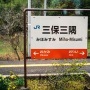 意外にも特急停車駅でした。