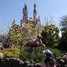 お城をバックに