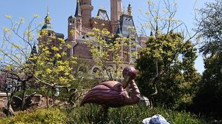 インスタ映えを狙う