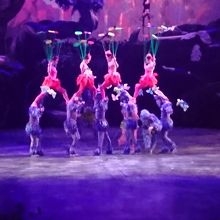 ちょつとブレていますが