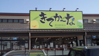 ドライブがてらに地元で採れた新鮮な野菜を♪