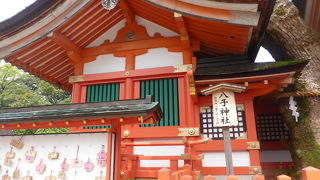 御神木の楠が立派です