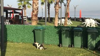 Wellborn Luxury Hotel