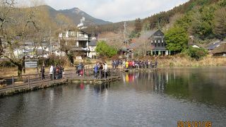 しっとりと湯布院の瞳です