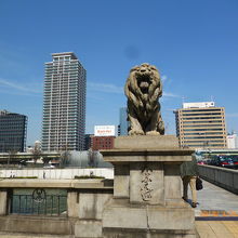 味わいのあるライオン。