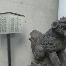 筑土神社の狛犬と解説です。参道の奥の社殿の前に置かれています