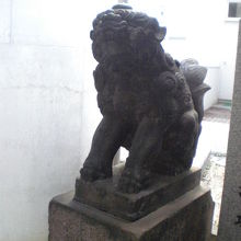 参道東側の狛犬です。頭上に宝珠があります。江戸時代の特徴です