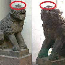 江戸時代の狛犬の特徴を示しています。明治以降にはありません。