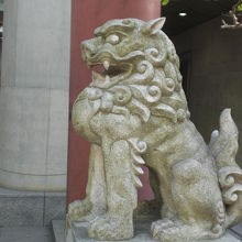 筑土神社の入口の狛犬です。昭和の作品で、角、宝珠がありません