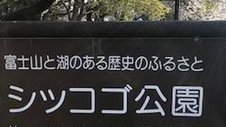 河口湖のすぐそばにあります