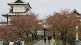 金沢城公園の桜　2018/4/11（水）