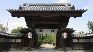 忙しい住職さんが話してくれました