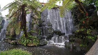 龍山寺の前に流れている滝