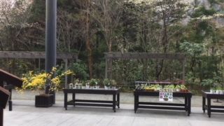 冬からの復活開園