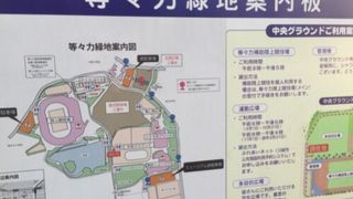 大きな釣り池 By Toratora 等々力緑地のクチコミ フォートラベル 大きな釣り池 By Toratora 等々力緑地のクチコミ フォートラベル