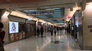 名古屋めしが充実