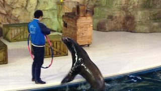 見応えたっぷり