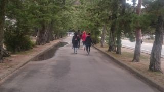 桃太郎の神社には沢山神社があります