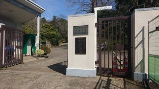 東京大学の付属植物園