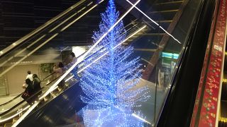 お店も多く楽しめます！