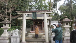 須佐之男命をまつります、「強力な」と