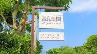 果物ジュースがおいしい。ビーチもオススメ