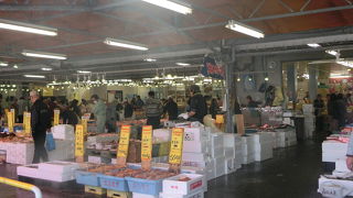 新鮮なお魚買えます