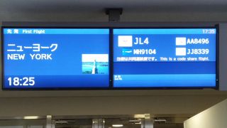 ＪＡＬ系のターミナルです。