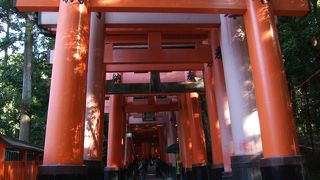 一つ一つの鳥居が大きくて立派