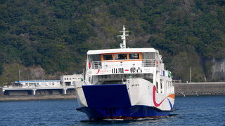 指宿根占を結ぶフェリー　イルカに遭遇する可能性も
