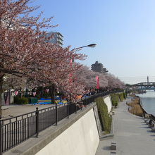 隅田公園の隅田川よりの景色