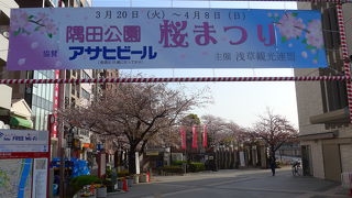 桜まつり開催中の隅田公園を訪れました!!