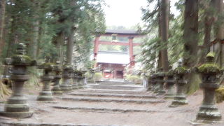 厳かな雰囲気のある参道でした