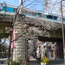 東武鉄道・スカイツリー線の車両と桜