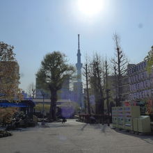 浅草寺境内から見える東京スカイツリー
