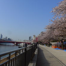 隅田川畔と隅田公園　言問橋方面景色