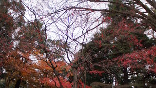 秋の紅葉がキレイだった・・・！