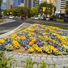 花壇にはきれいな花が植えられています
