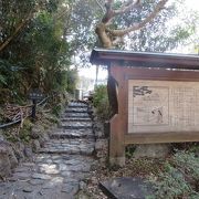 山道を気分よく歩きました